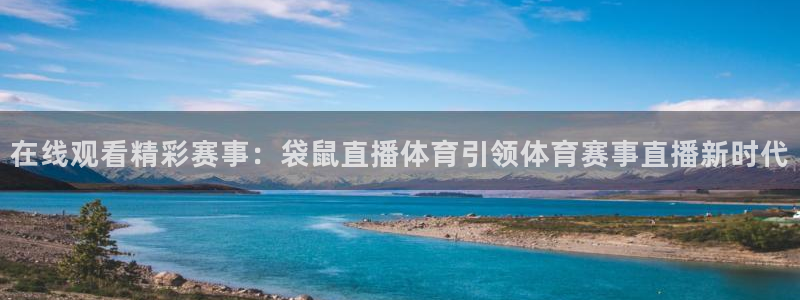 在线观看精彩赛事：袋鼠直播体育引领体育赛事直播新时代