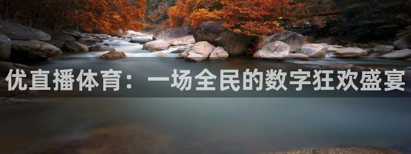 优直播体育：一场全民的数字狂欢盛宴