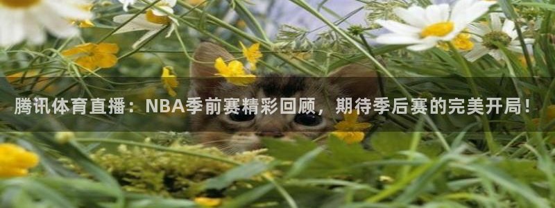 腾讯体育直播：NBA季前赛精彩回顾，期待季后赛的完美开局！