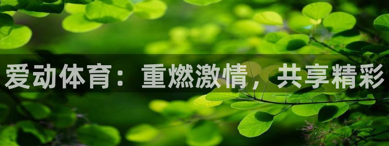爱动体育：重燃激情，共享精彩