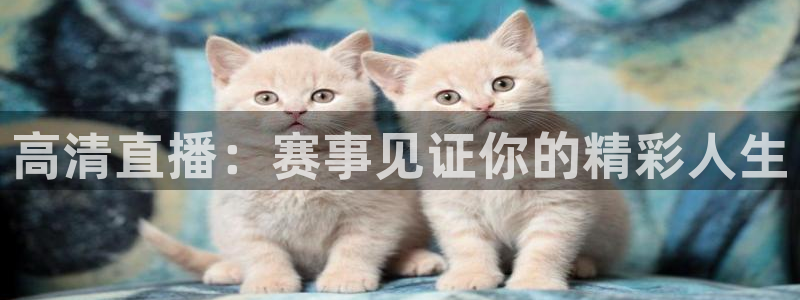 高清直播：赛事见证你的精彩人生