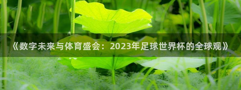 《数字未来与体育盛会：2023年足球世界杯的全球观》