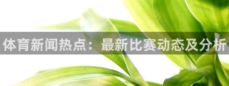 体育新闻热点：最新比赛动态及分析