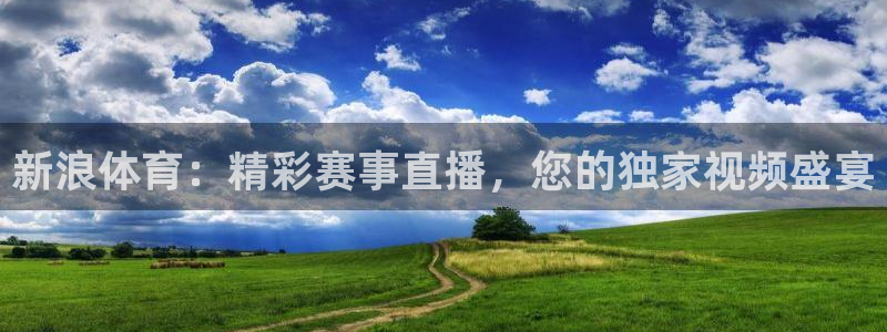 新浪体育：精彩赛事直播，您的独家视频盛宴