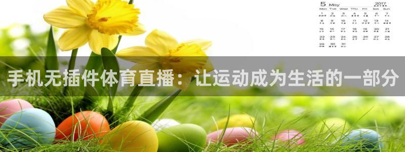 手机无插件体育直播：让运动成为生活的一部分