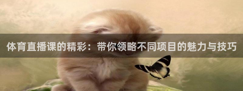 体育直播课的精彩：带你领略不同项目的魅力与技巧