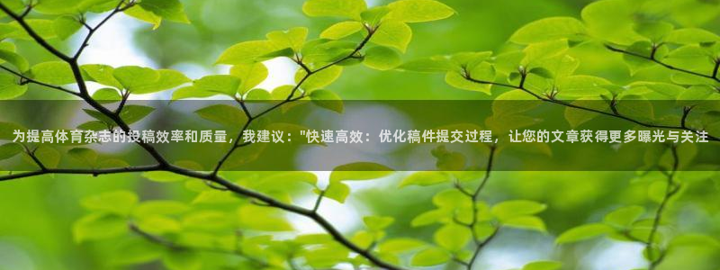 为提高体育杂志的投稿效率和质量，我建议：\