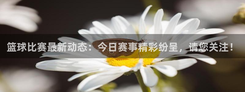 篮球比赛最新动态：今日赛事精彩纷呈，请您关注！