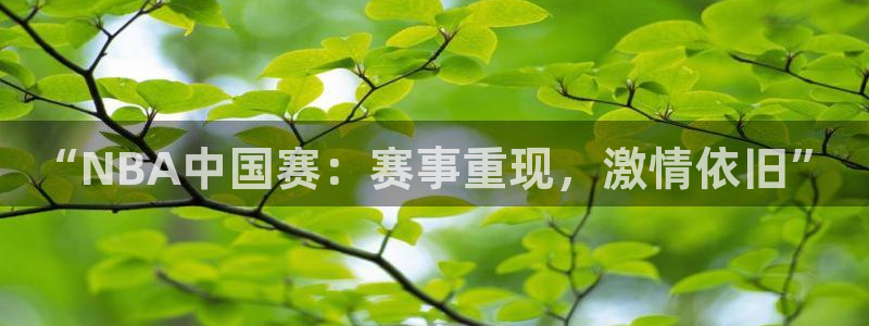 “NBA中国赛：赛事重现，激情依旧”