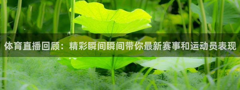 体育直播回顾：精彩瞬间瞬间带你最新赛事和运动员表现