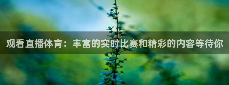 观看直播体育：丰富的实时比赛和精彩的内容等待你