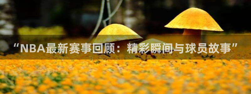 “NBA最新赛事回顾：精彩瞬间与球员故事”