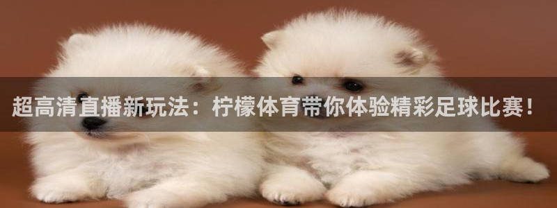 超高清直播新玩法：柠檬体育带你体验精彩足球比赛！