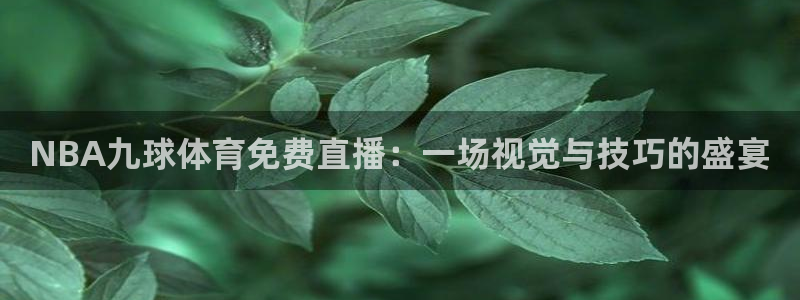 NBA九球体育免费直播：一场视觉与技巧的盛宴