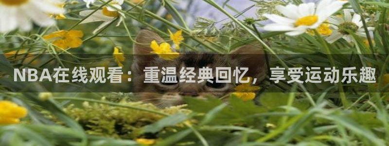 NBA在线观看：重温经典回忆，享受运动乐趣