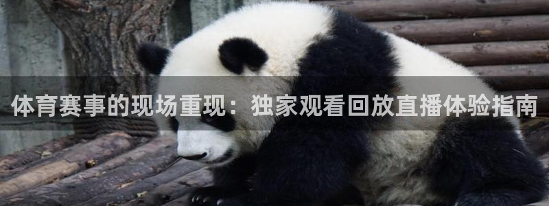 体育赛事的现场重现：独家观看回放直播体验指南
