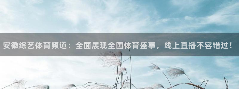 安徽综艺体育频道：全面展现全国体育盛事，线上直播不容错过！