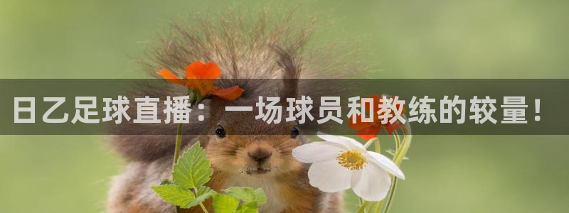 日乙足球直播：一场球员和教练的较量！