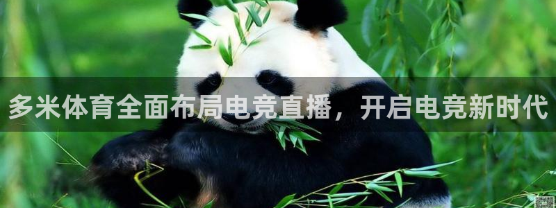 多米体育全面布局电竞直播，开启电竞新时代