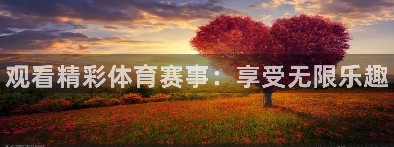 观看精彩体育赛事：享受无限乐趣