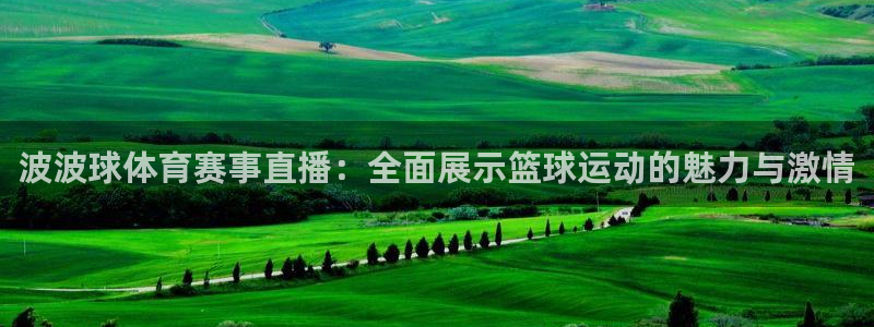 波波球体育赛事直播：全面展示篮球运动的魅力与激情