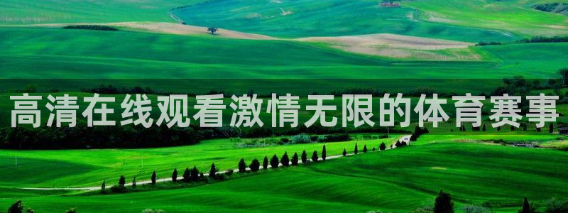 高清在线观看激情无限的体育赛事