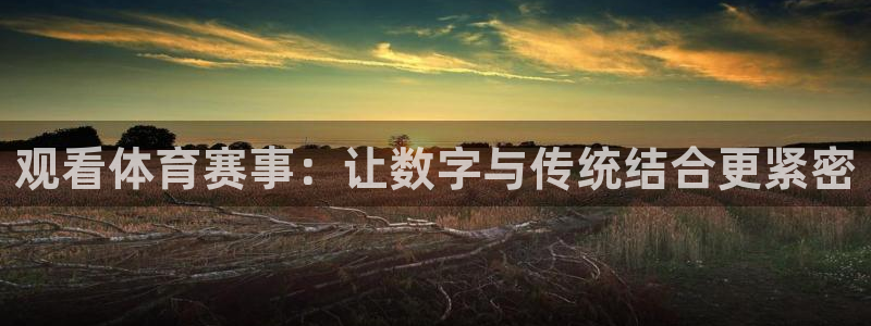 观看体育赛事：让数字与传统结合更紧密