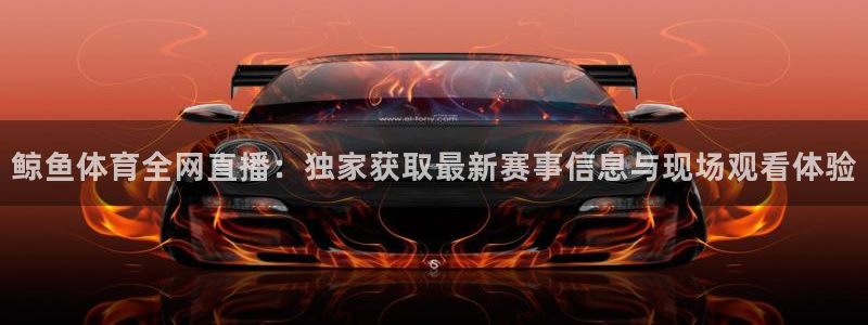 鲸鱼体育全网直播：独家获取最新赛事信息与现场观看体验
