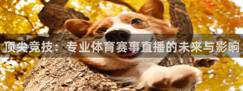 顶尖竞技：专业体育赛事直播的未来与影响