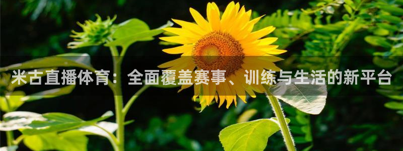 米古直播体育：全面覆盖赛事、训练与生活的新平台