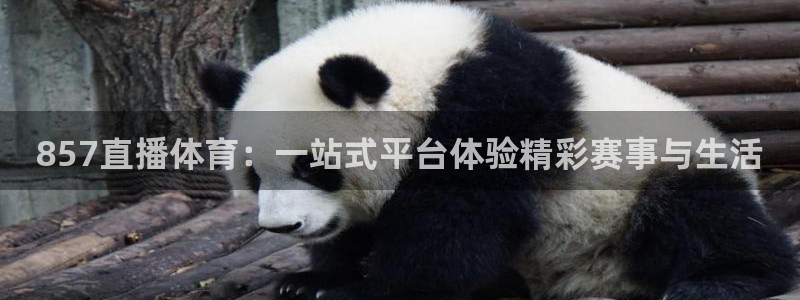 857直播体育：一站式平台体验精彩赛事与生活