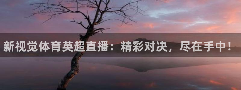 新视觉体育英超直播：精彩对决，尽在手中！
