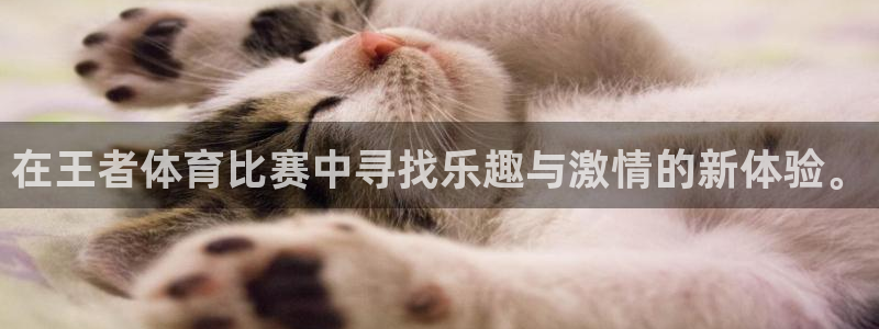 在王者体育比赛中寻找乐趣与激情的新体验。