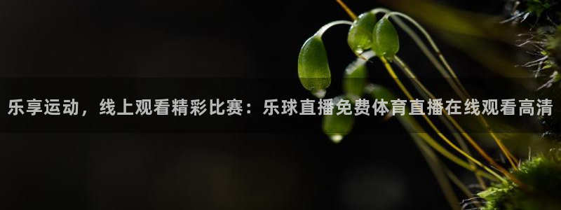 乐享运动，线上观看精彩比赛：乐球直播免费体育直播在线观看高清