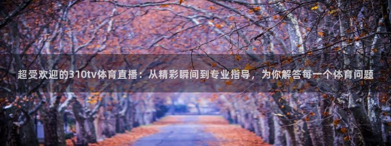 超受欢迎的310tv体育直播：从精彩瞬间到专业指导，为你解答每一个体育问题