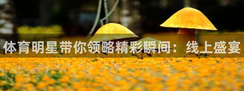 体育明星带你领略精彩瞬间：线上盛宴
