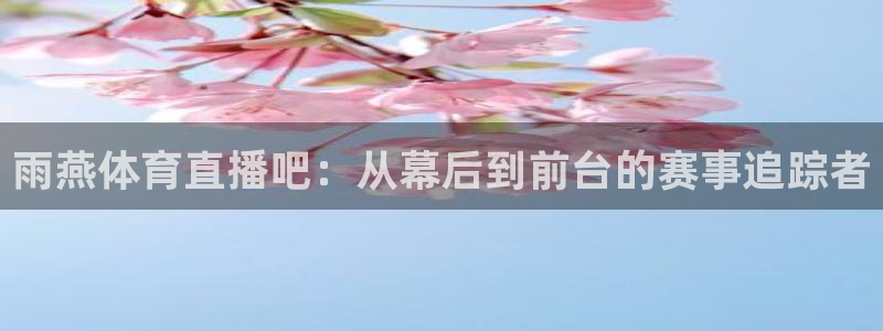 雨燕体育直播吧：从幕后到前台的赛事追踪者