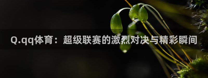 Q.qq体育：超级联赛的激烈对决与精彩瞬间