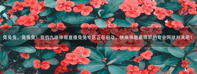 兔兔兔，兔兔兔！我的九球体育直播兔兔专区正在启动，快来体验最精彩的专业网球对决吧！
