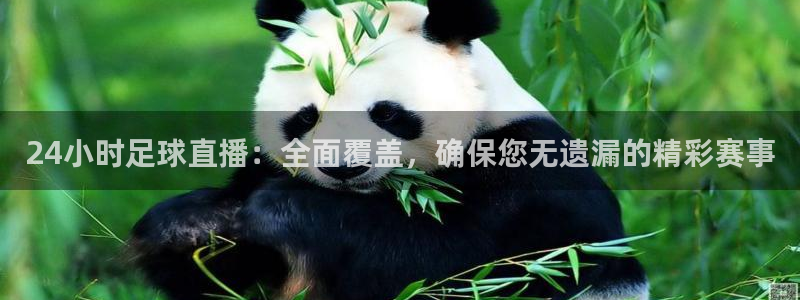 24小时足球直播：全面覆盖，确保您无遗漏的精彩赛事