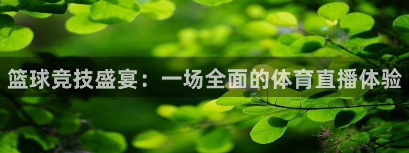 篮球竞技盛宴：一场全面的体育直播体验