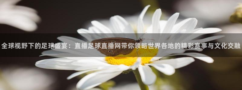 全球视野下的足球盛宴：直播足球直播网带你领略世界各地的精彩赛事与文化交融