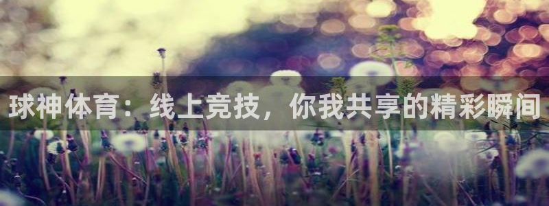 球神体育：线上竞技，你我共享的精彩瞬间