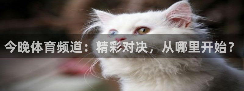 今晚体育频道：精彩对决，从哪里开始？