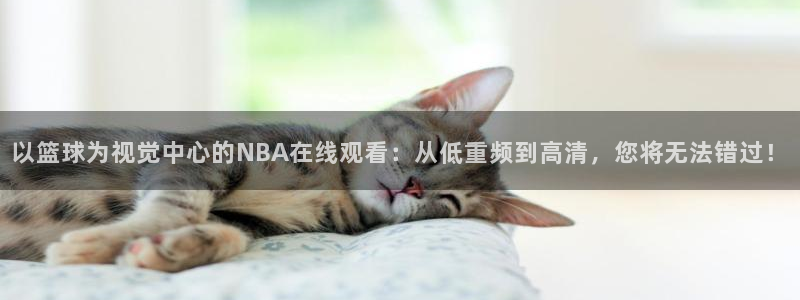 以篮球为视觉中心的NBA在线观看：从低重频到高清，您将无法错过！