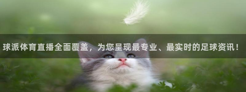 球派体育直播全面覆盖，为您呈现最专业、最实时的足球资讯！