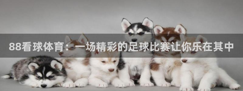88看球体育：一场精彩的足球比赛让你乐在其中