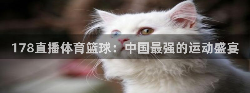 178直播体育篮球：中国最强的运动盛宴