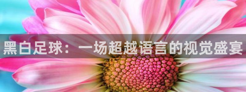 黑白足球：一场超越语言的视觉盛宴