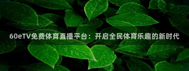 60eTV免费体育直播平台：开启全民体育乐趣的新时代